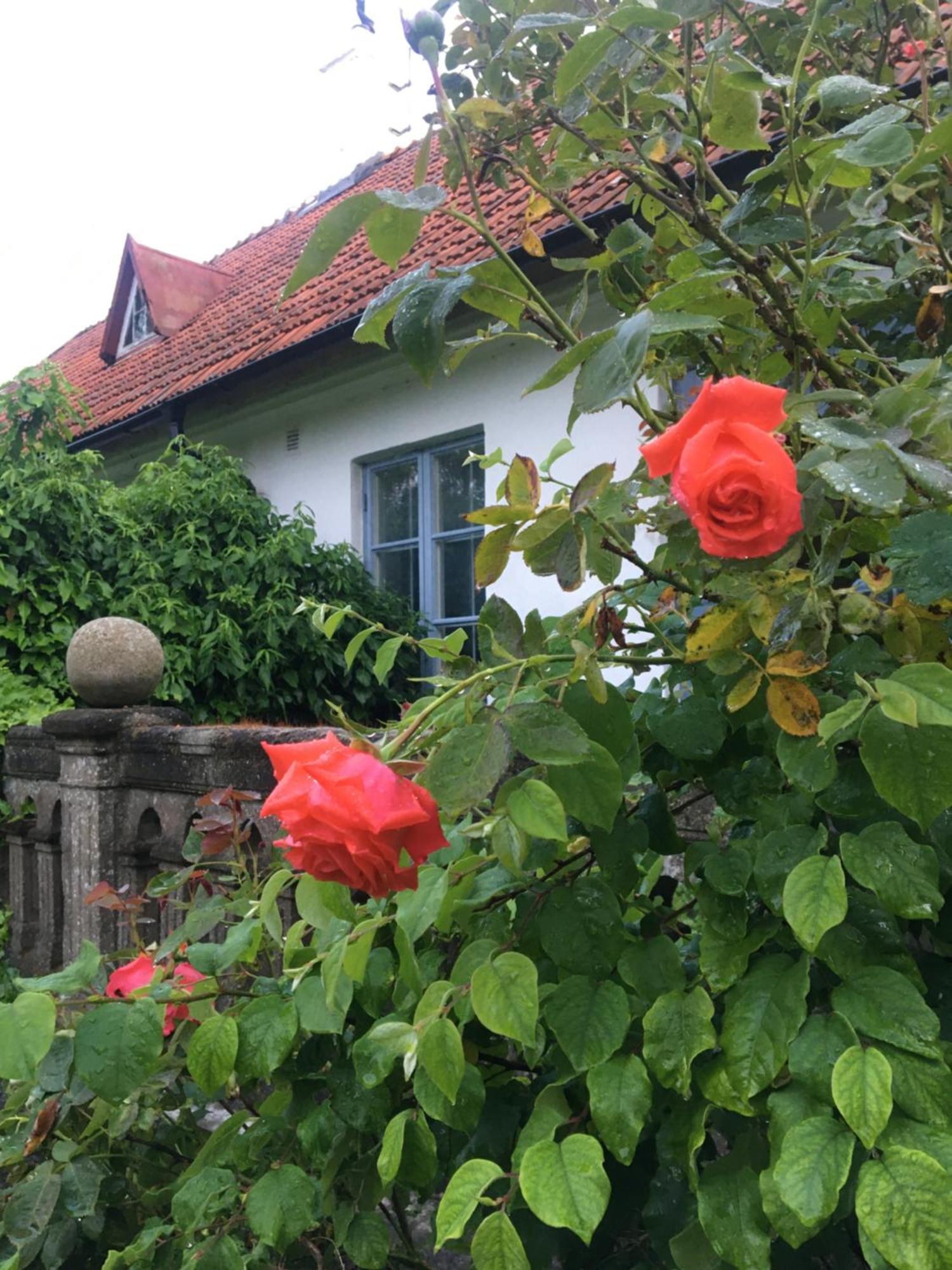 Sydkustens At Tullnaes Vingard Klagstorp Dış mekan fotoğraf