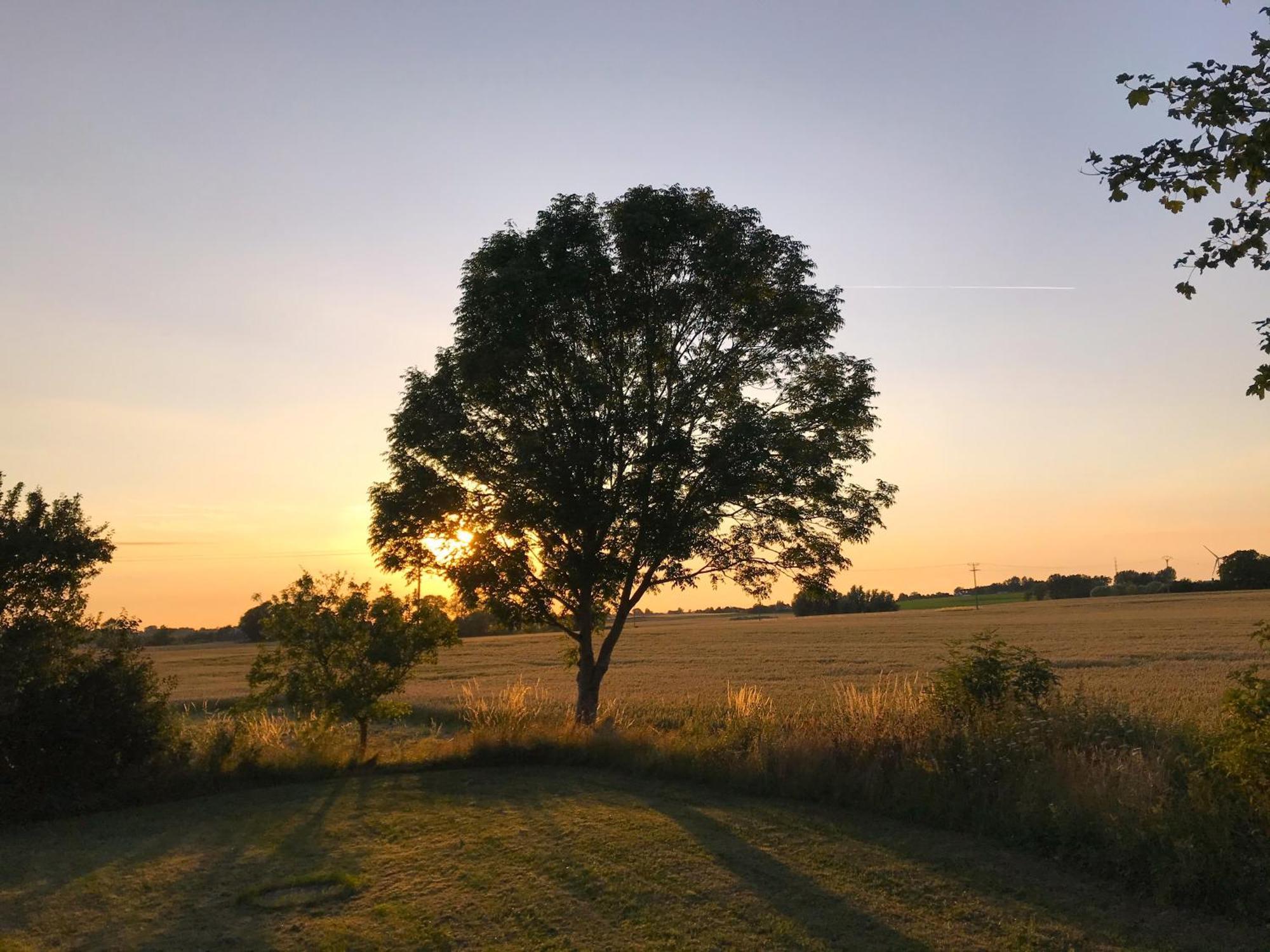 Sydkustens At Tullnaes Vingard Klagstorp Dış mekan fotoğraf